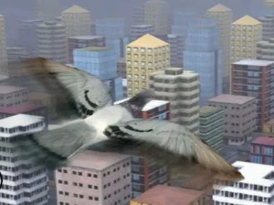 Fly Like a bird 3 oнлайн-игра