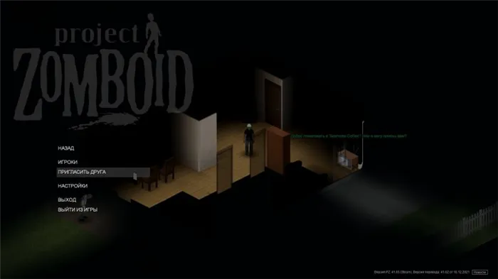 Project Zomboid сетевая игра 5