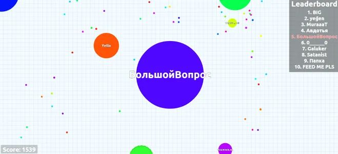 Скины в игре agario