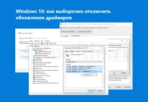 selection-disable-drivers-updates-windows-10