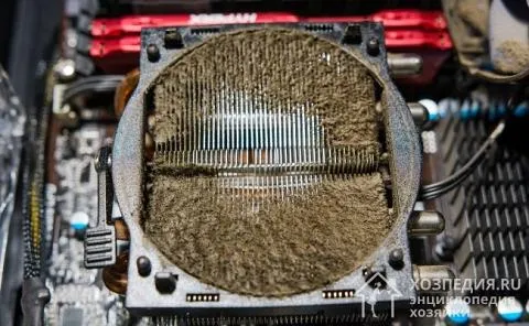 Помните, что пыль и волосы - самые большие враги вашего компьютера, поскольку они медленно и неуклонно разрушают его.