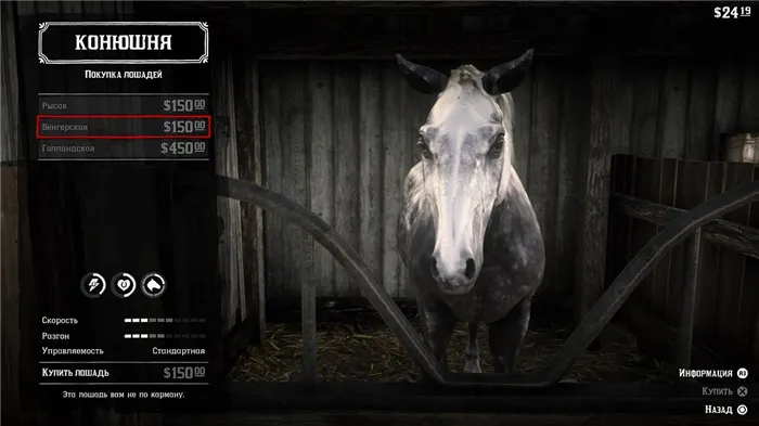 Как получить лучших лошадей в Red Dead Redemption 2: породы лошадей, цены, характеристики, как чистить, приручать, оживлять и тренировать лошадей.