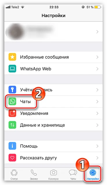 Настройки чатов в WhatsApp на iPhone