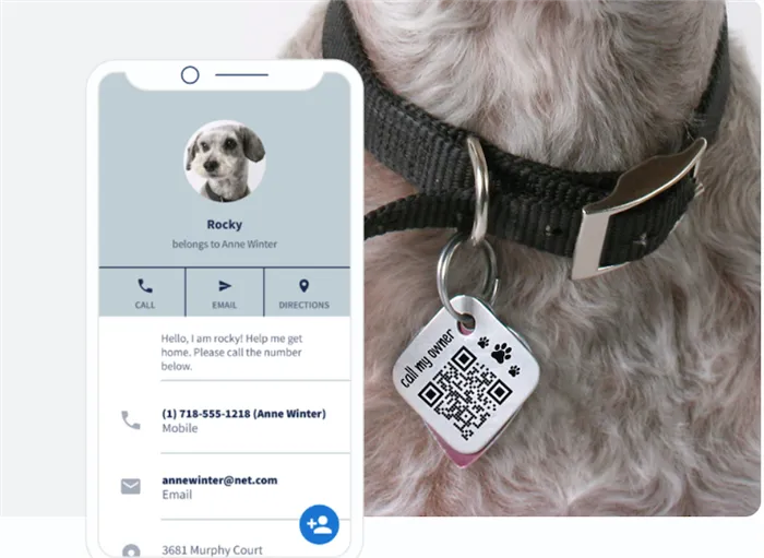 Цифровые визитные карточки для домашних животных