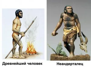 Различия между древними людьми и неандертальцами