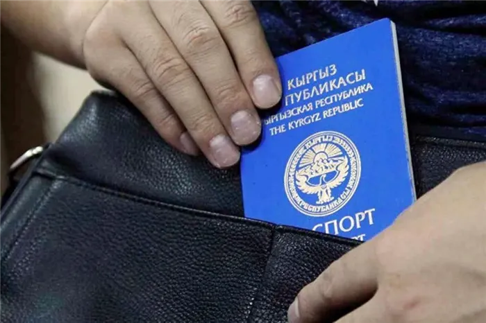 Государственные программы по получению российского гражданства кыргызстанцами