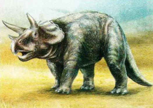 Трицератопс был распространен на обширных территориях Северной Америки. 
