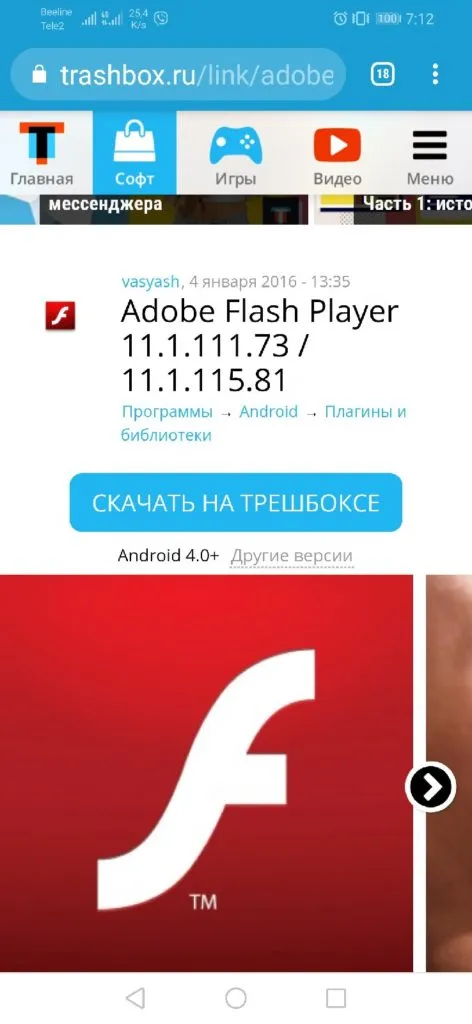 AdobeFlashPlayer из корзины