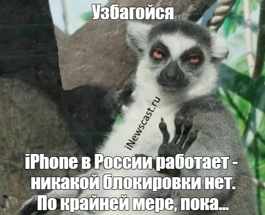 iPhone из других стран будут работать в России
