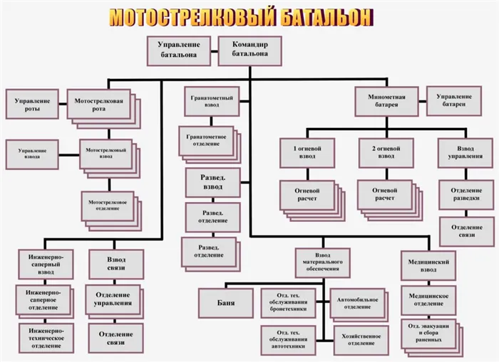 Структура мотострелковых батальонов