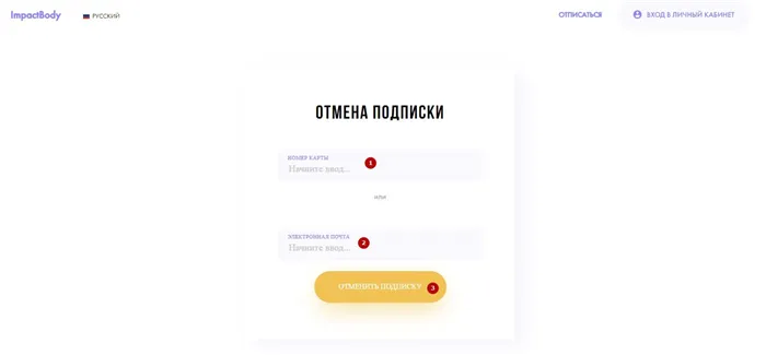 Impact Body Tula RUS списали деньги: что это, как отменить подписку