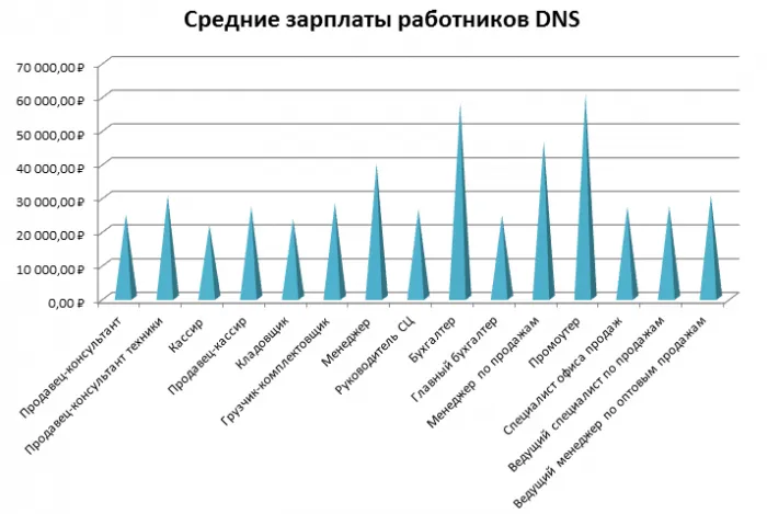 Заработная плата в DNS