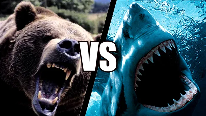 Какие медведи или акулы самые сильные и быстрые?