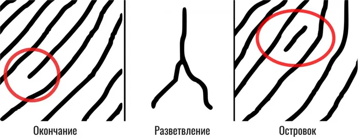 Сканирование отпечатков пальцев (мелкий шрифт)
