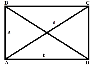 Площадь прямоугольника равна произведению длин дву