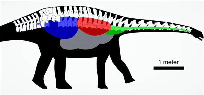 Система воздушной подушки из позвоночника динозавра